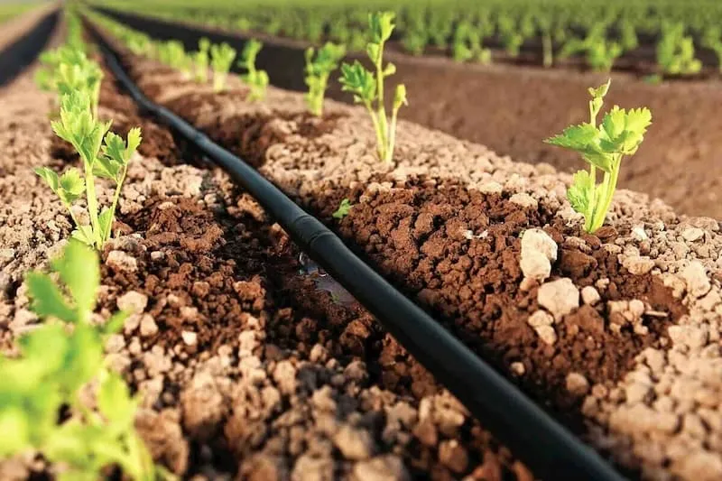 نوار آبیاری 16 میلیمتر دریپدار | قیمت مناسب خرید عالی